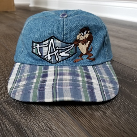 Warner Bros. Other - 90s vintage Looney Tunes Taz Hat